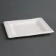 Fiesta Green Square Bagasse Plate 8 X 50''