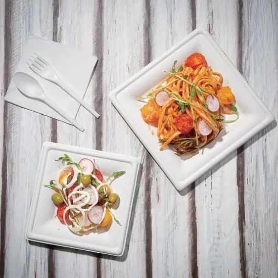 Fiesta Green Square Bagasse Plate 8 X 50''