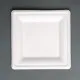 Fiesta Green Square Bagasse Plate 10'' X 50