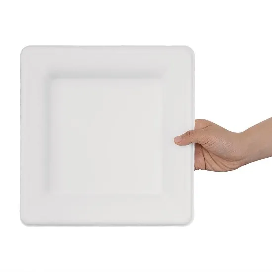 Fiesta Green Square Bagasse Plate 10'' X 50