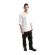 Hartford Light White Zip Chef Jacket