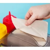 Dispenser Napkin 2ply 16.5 X 21cm X 8000