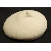 Pr Individual Pavlova X 12