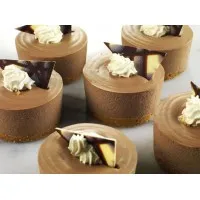 Pr Indl Chocolate & Salt Car Mousse  X 12