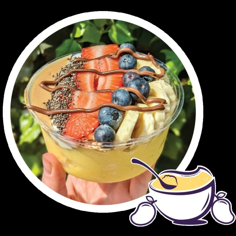 Moberry Mango Sorbet Base 4l