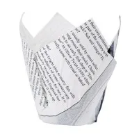 Chip Crowns Newspaper Design Grease Resistant (pack 1100)